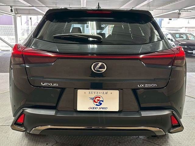 TOYOTA LEXUS UX250H 2020 Image 31