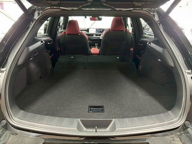 TOYOTA LEXUS UX250H 2020 Image 31