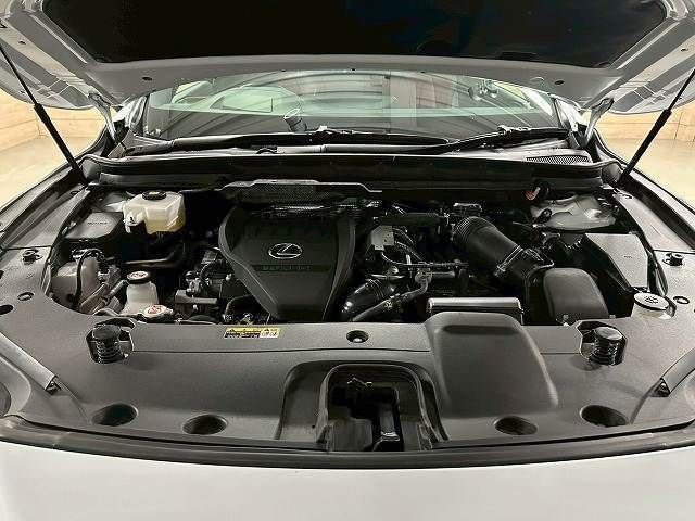 TOYOTA LEXUS RX500H 2023 Image 31