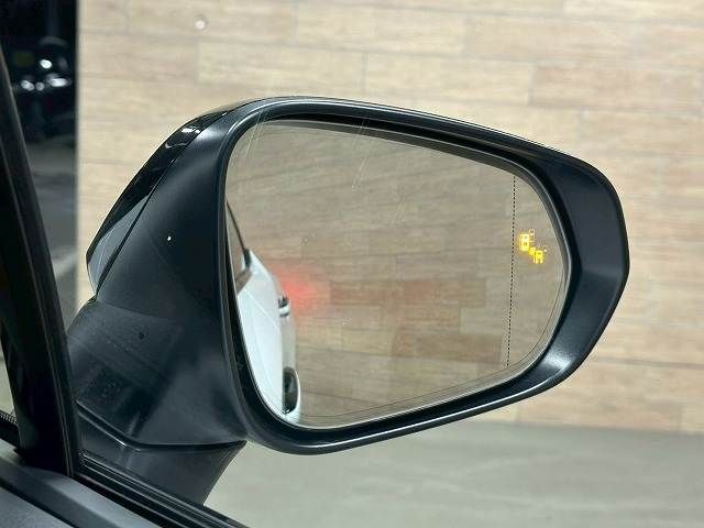 TOYOTA LEXUS RX500H 2023 Image 31