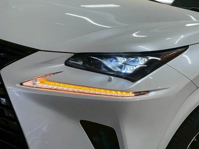 TOYOTA LEXUS NX300 2018 Image 31