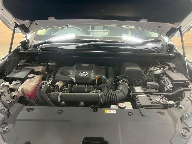 TOYOTA LEXUS NX300 2018 Image 31