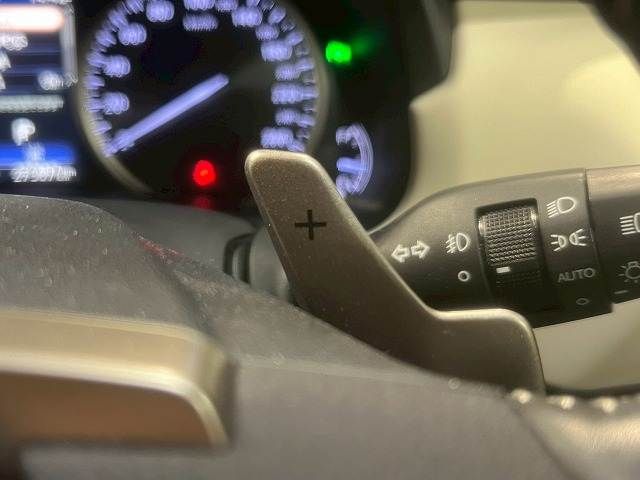 TOYOTA LEXUS NX300 2018 Image 31