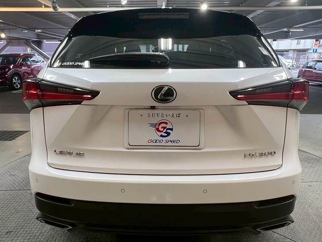 TOYOTA LEXUS NX300 2018 Image 31