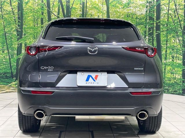 MAZDA CX-30 2023 Image 31
