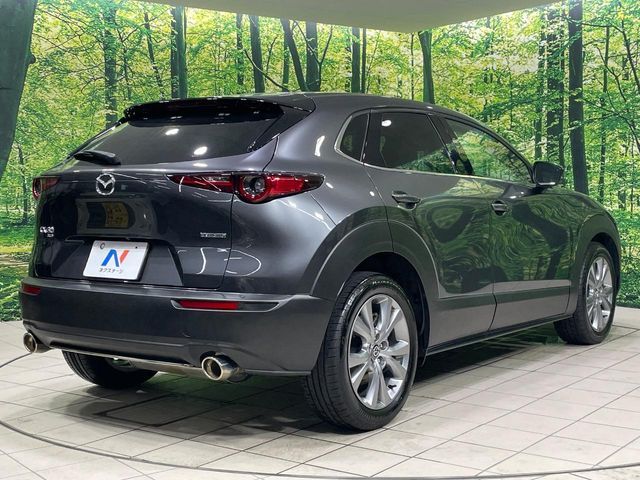 MAZDA CX-30 2023 Image 31