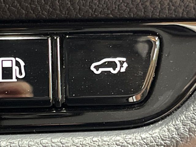 TOYOTA LEXUS NX350H 2024 Image 31