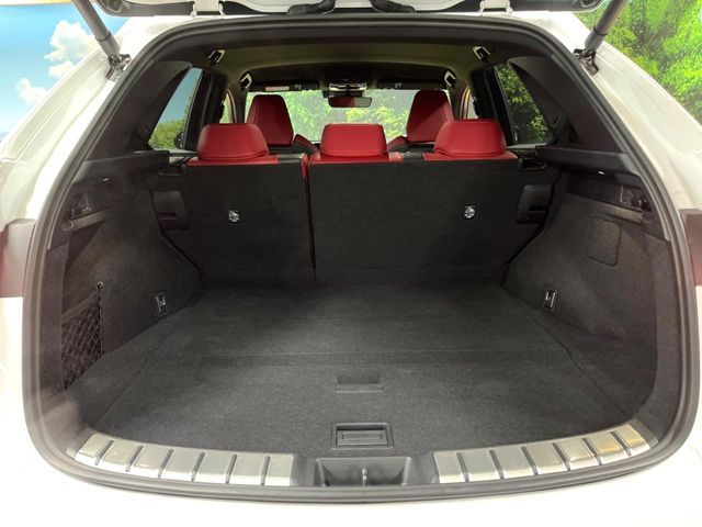 TOYOTA LEXUS NX350H 2024 Image 31