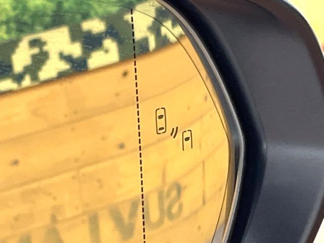 TOYOTA LEXUS NX300 2019 Image 31