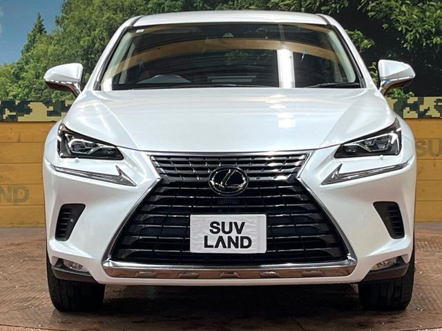 TOYOTA LEXUS NX300 2019 Image 31