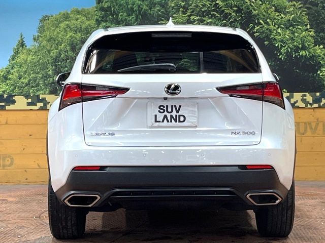 TOYOTA LEXUS NX300 2019 Image 31
