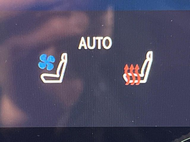 TOYOTA LEXUS NX350H AWD 2024 Image 31