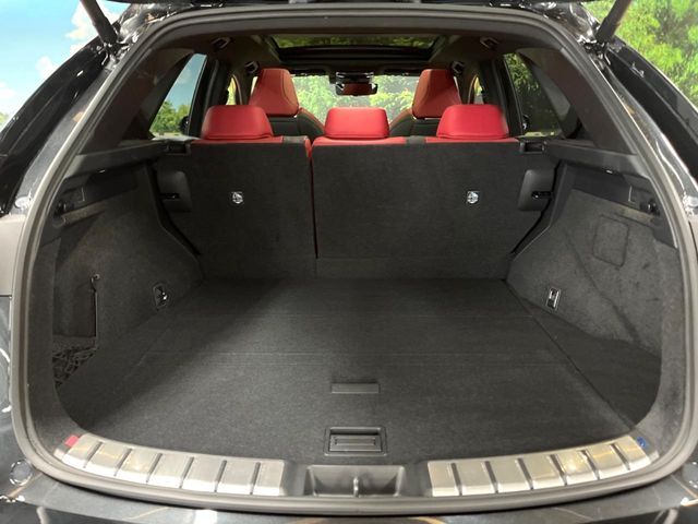TOYOTA LEXUS NX350H AWD 2024 Image 31