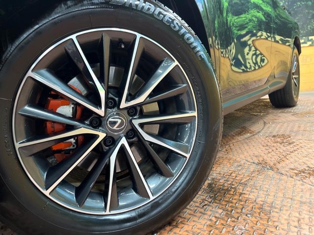 TOYOTA LEXUS NX350H AWD 2024 Image 31