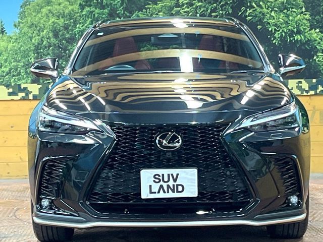 TOYOTA LEXUS NX350H AWD 2024 Image 31