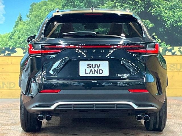 TOYOTA LEXUS NX350H AWD 2024 Image 31