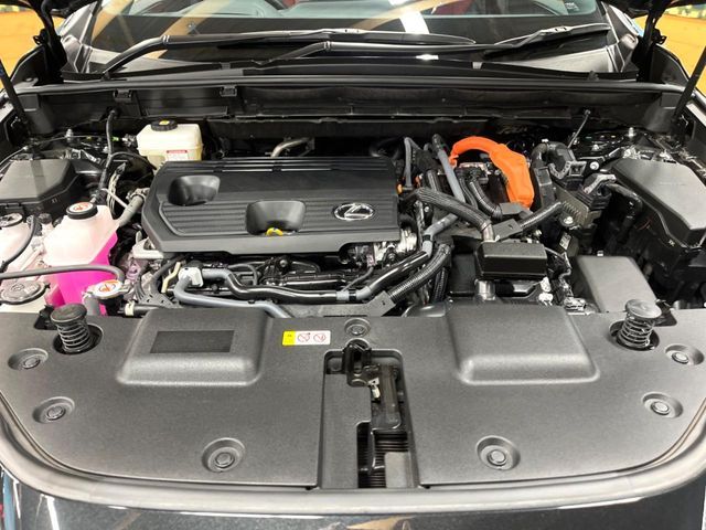 TOYOTA LEXUS NX350H AWD 2024 Image 31