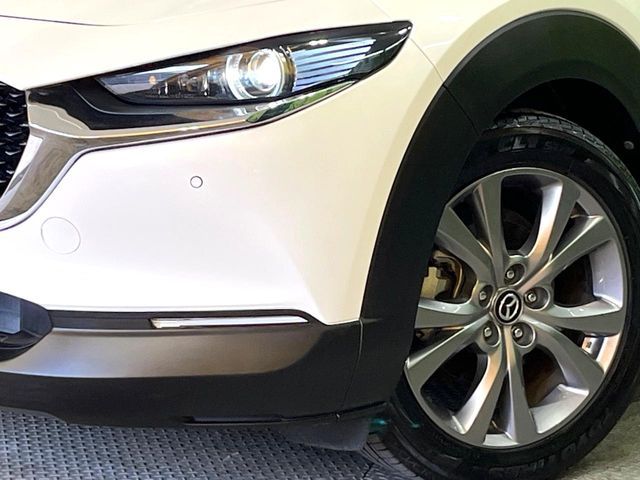 MAZDA CX-30 2019 Image 31