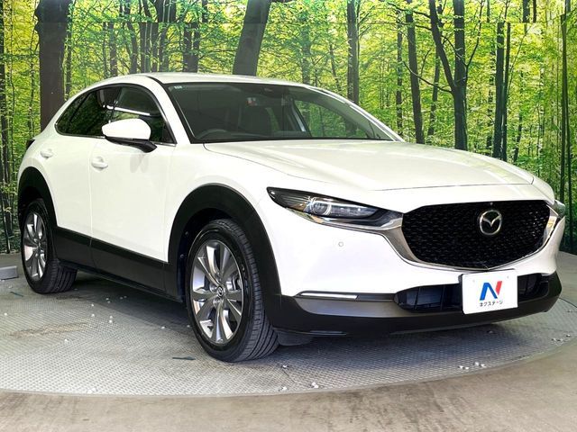 MAZDA CX-30 2019 Image 31