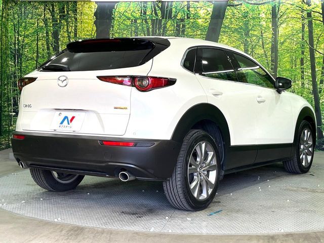 MAZDA CX-30 2019 Image 31