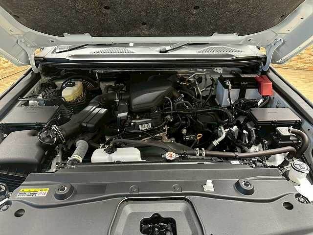 TOYOTA LANDCRUISER 250 2024 Image 31