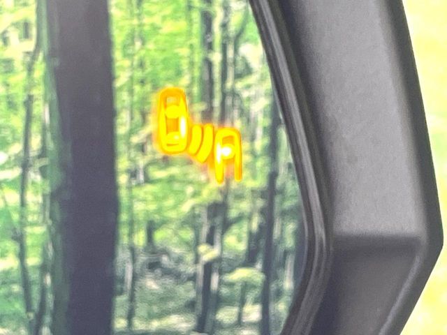 TOYOTA RAV4 4WD 2021 Image 31