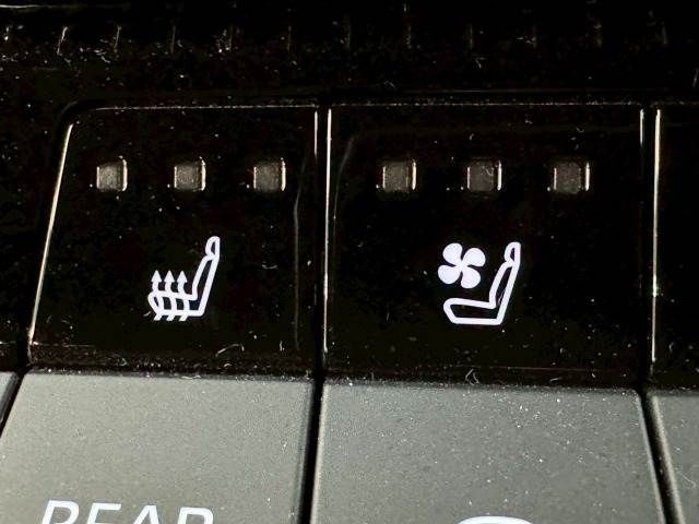 TOYOTA LANDCRUISER 250 2024 Image 31