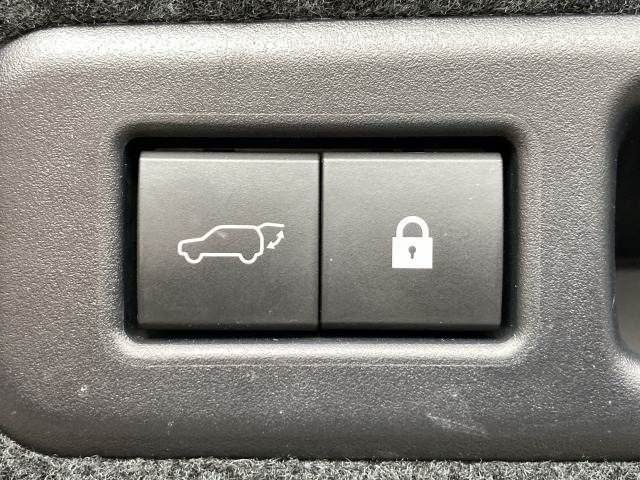 TOYOTA LEXUS RX450H 2WD 2020 Image 31