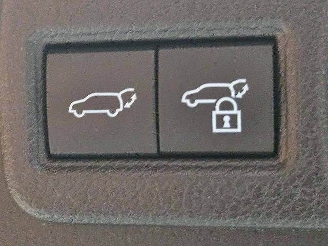 TOYOTA HARRIER HYBRID 2023 Image 31