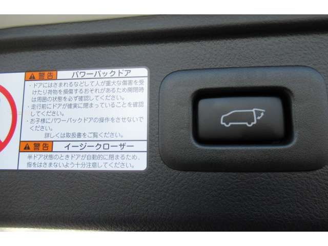 TOYOTA ALPHARD 2020 Image 31