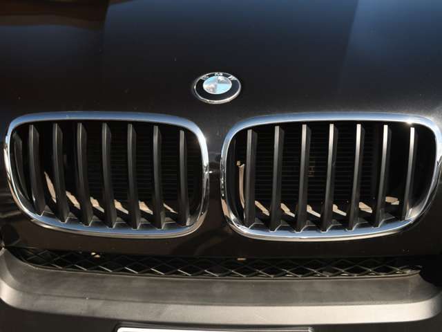 BMW X5 2009 Image 31