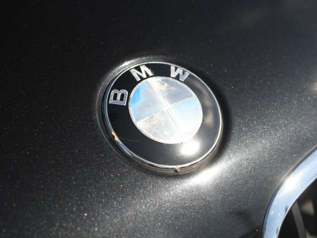 BMW X5 2009 Image 31