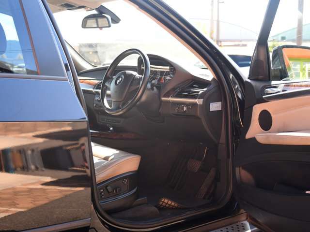 BMW X5 2009 Image 31