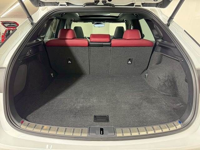 TOYOTA LEXUS RX500H 2023 Image 31