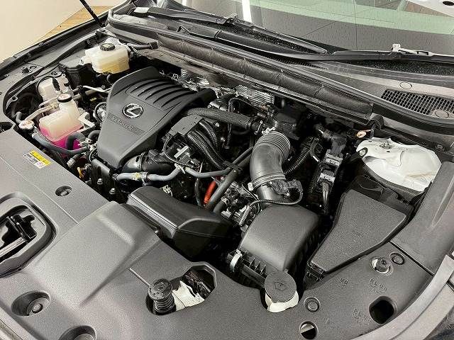 TOYOTA LEXUS RX500H 2023 Image 31