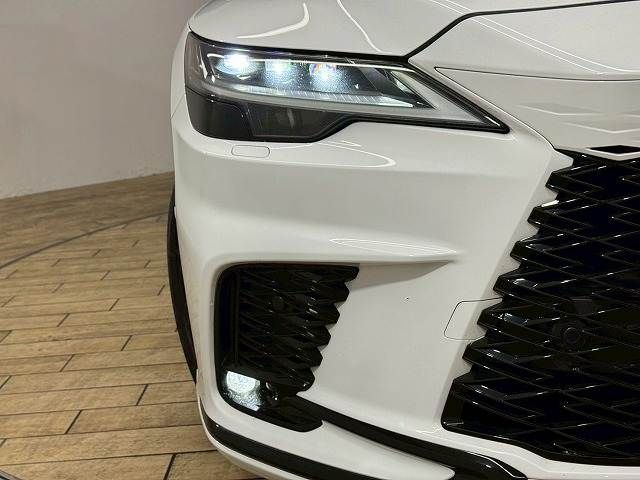 TOYOTA LEXUS RX500H 2023 Image 31