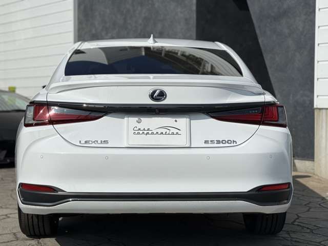 TOYOTA LEXUS ES300H 2019 Image 31