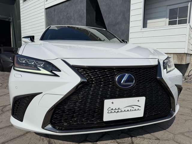 TOYOTA LEXUS ES300H 2019 Image 31