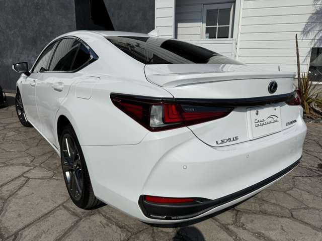 TOYOTA LEXUS ES300H 2019 Image 31