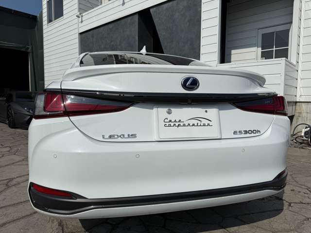 TOYOTA LEXUS ES300H 2019 Image 31