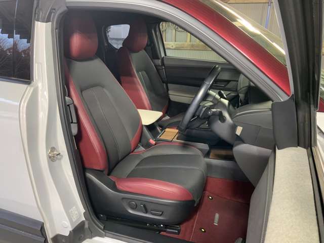 MAZDA MX-30 2020 Image 31