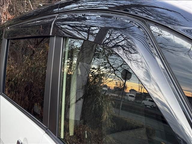 NISSAN SERENA  WG 2020 Image 31