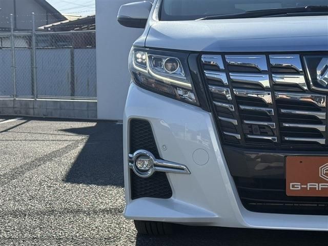 TOYOTA ALPHARD HYBRID 4WD 2017 Image 31