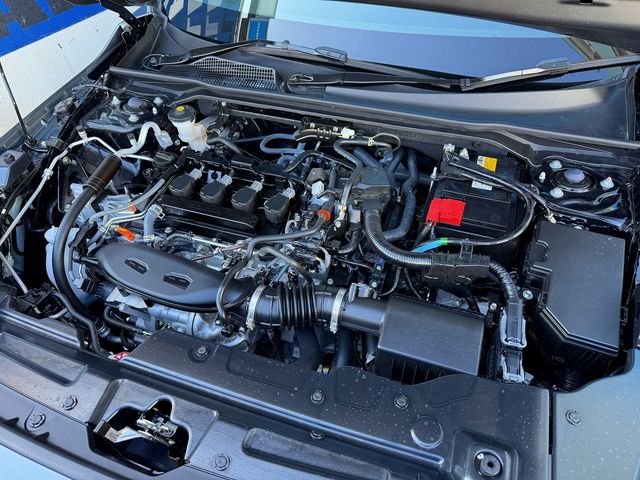 MITSUOKA M55 2024 Image 31