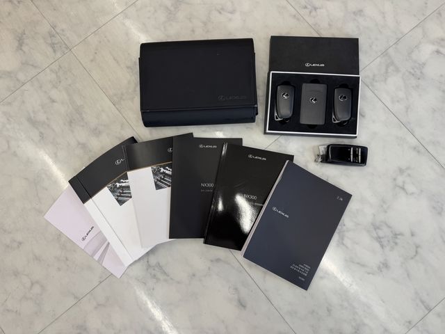 TOYOTA LEXUS NX300 AWD 2017 Image 31