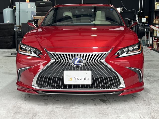 TOYOTA LEXUS ES300H 2019 Image 31