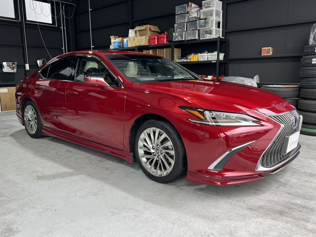 TOYOTA LEXUS ES300H 2019 Image 31