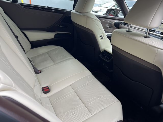 TOYOTA LEXUS ES300H 2019 Image 31