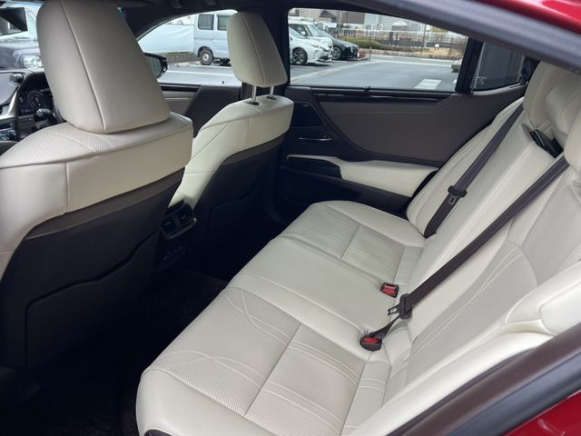 TOYOTA LEXUS ES300H 2019 Image 31