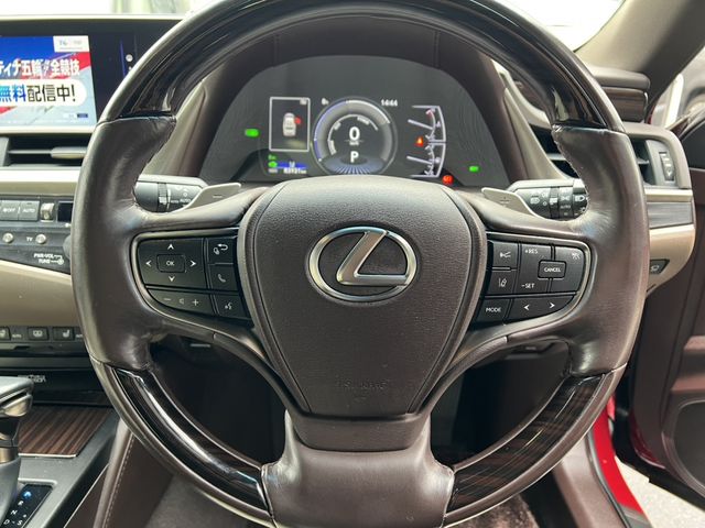 TOYOTA LEXUS ES300H 2019 Image 31